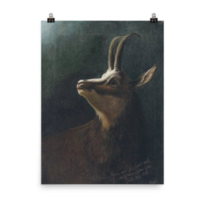 Karl Wilhelm Diefenbach - Head of a chamois