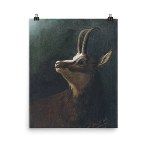 Karl Wilhelm Diefenbach - Head of a chamois