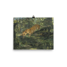 Load image into Gallery viewer, John Macallan Swan - Leopard drinking from a stream
